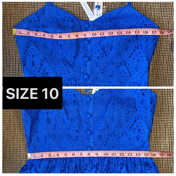 Alice + Olivia Nella Embroidered Blue Eyelet Flared Mini Dress - Picture 8 of 15